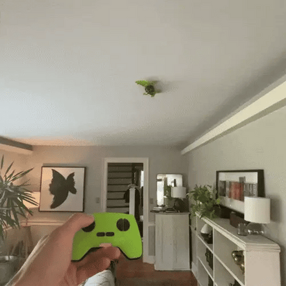 Orlunastyle Lizard - Play Pack